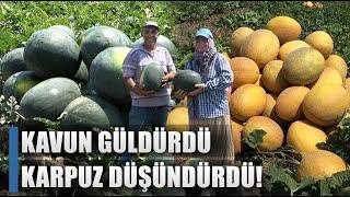 Kavun Güldürdü Karpuz Düşündürdü Çiftçi Şokta  AGRO TV HABER