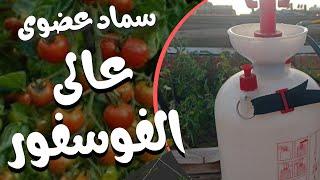 How to prepare a high phosphorous organic fertilizer solution