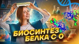 Биосинтез белка с 0. Вся теория + практика  Биология ЕГЭ 2024  Умскул