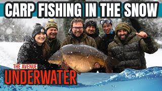  Underwater Carp Fishing in the Snow ️  Ali Hamidi  One More Cast