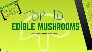 Top 10 Edible Mushrooms