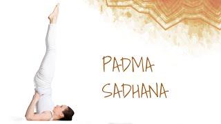 Padma Sadhana  Yoga for Immunity  Yoga for Stress Relief  Sri Sri Yoga