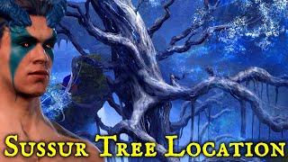 Baldurs Gate 3 - Finish the Masterwork Weapon - Sussur Tree Location