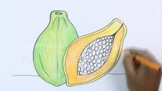 How to Draw a Papaya