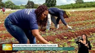 Governo lança hoje  o Plano Safra da Agricultura Familiar