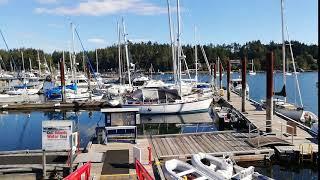 Ganges Harbour on Salt Spring