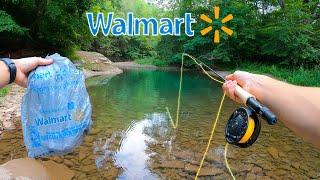 WALMART FLY FISHING CHALLENGE  Fly Fishing for Beginners Brown Trout