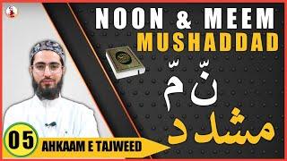 Noon Mushaddad & Meem Mushaddad  Ahkaam e Tajweed Class - 05  Qari Aqib  Urdu Hindi