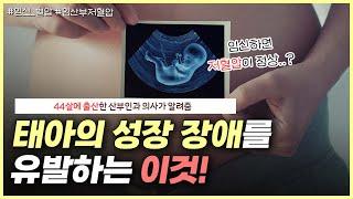 OOO은 태아의 성장을 방해한다?｜임신하면 혈압이 떨어지는 이유｜임산부 혈압의 모든 것 - 노노산부인과 ep64