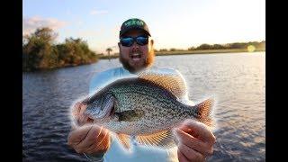 Most AMAZING day Crappie Fishing EVER