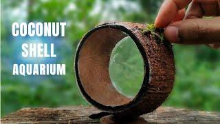 Simple Craft Making With Coconut Shell  How To Make An AQUARIUM with Coconut Shell  Mr Techoo