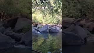 Dudh Sagar Goa #goadiariesofask #goa #dudhsagarfallsingoa #dudhsagar #viral #viralvideo #viralshorts