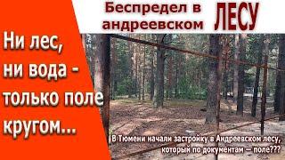 Ни лес ни вода - только поле кругом  Застройка лесного участка у Андреевского озера  Тюмень