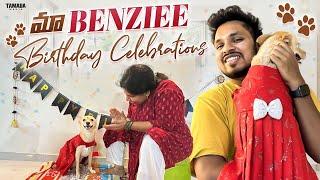 మా Benziee Birthday Celebrations  Pet Lover  Akhil Jackson Vlogs  Tamada Media