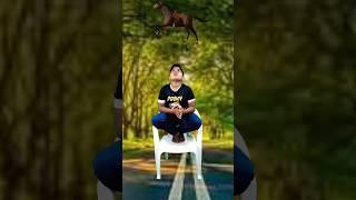 Catching horse elephant parrot & rabbit vs lion & gorilla - Funny vfx magic 