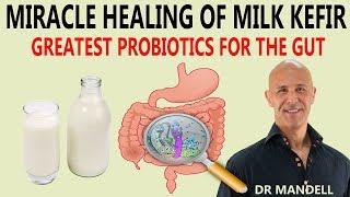 MIRACLE HEALING OF MILK KEFIR...GREATEST PROBIOTICS FOR THE GUT - Dr Alan Mandell DC