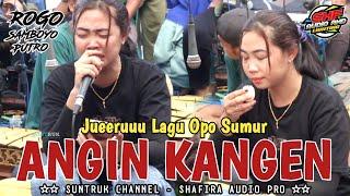 ROGO SAMBOYO PUTRO ANGIN KANGEN GEA AYU‼️ TERBARU 2023 SHAFIRA AUDIO