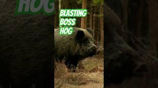 Hog Hunting. Another One Bites the Dust