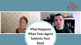 What Happens When Your Agent Submits Your Book?