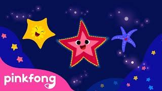 Bintang Laut  Series Binatang Laut  Lagu Anak pendidikan  Pinkfong & Baby Shark
