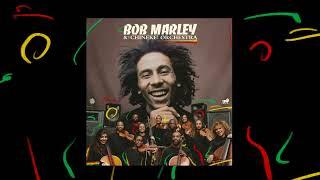 Satisfy My Soul – Bob Marley and The Chineke Orchestra Visualizer