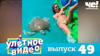 Улетное видео  Выпуск 49