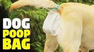 Dog Poop Bag  Piqapoo The Dog Poop Collector