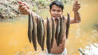 Eels Fish Recipes  Fried Eels Fish With Vegetable Eating So Delicious In Forest