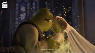 Shrek True Loves Kiss HD CLIP
