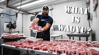 Wagyu Beef and Kobe Beef Whats the Difference? The Bearded Butchers Answer and Grill