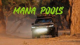 Overlanding in Zimbabwe  Mana Pools