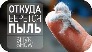 Откуда берется пыль? SLIVKI SHOW