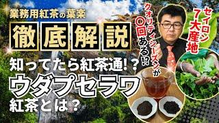 【セイロン7大紅茶】ウダプセラワ徹底解説！ウバとヌワラエリヤの中間に位置するお茶の秘密【スリランカ】