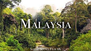 Malaysia In 4k - The Land Of Beautiful Topical Rainforest  Scenic Relaxation Film