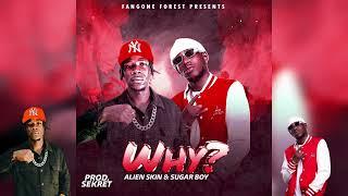 Why? - Alien skin ft Sugar Bwoy Remix official Audio Music