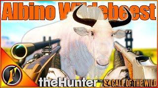 Black Powder Weapons ONLY Hunt  ALBINO GOLD WILDEBEEST  Call of the Wild