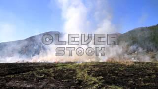 Forest Fire Smoke Rising over Black Ash Field Hazard Nature - Stock Footage