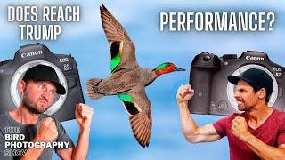 Which Is The BEST Wildlife Camera?  Canon R6 Mark II vs R7  What About The R8?