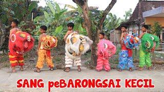 cerita lucu  SANG PEBARONGSAI KECIL SI PENJAGA SENI BARONGAN NUSANTARA