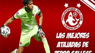 Pedro Gallese #1 ● National team ● Veracruz ● Best Saves  Mejores Atajadas  HD