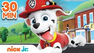 Best of Marshall  PAW Patrol  30 Minute Compilation  Nick Jr.