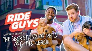 The Secret Life of Pets Off the Leash  Ride Guys