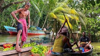 বাংলাদেশের সবচেয়ে বড় ভাসমান বাজারে নৌকায় বিক্রি হচ্ছে বরিশালের পেয়ারা আমড়া লেবু ডাব গাছের চারা