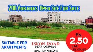200 Ankanas land for Sale  near Hanuman Junction ISKCON Temple RoadNellore Perfect for Apartments