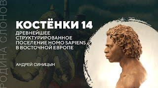 Древнейшее структурированное поселение Homo Sapiens в Восточной Европе. Андрей Синицын. РС № 278