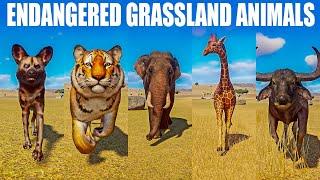 Endangered Grassland Animals speed Races in Planet Zoo included  African Wild Dog  Tiger Elephant