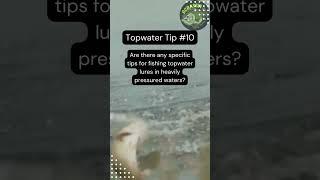 The Ultimate Guide to Topwater Fishing #topwater #shortsvideo #bassfishing