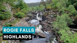 ROGIE FALLS - Must Visit WATERFALL On NC500 - Scotland Walking Tour  4K  60FPS