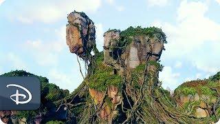 The Making of Pandora - The World of Avatar  Disneys Animal Kingdom