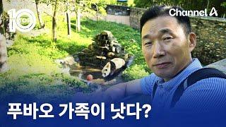 푸바오 가족이 낫다?  뉴스TOP 10